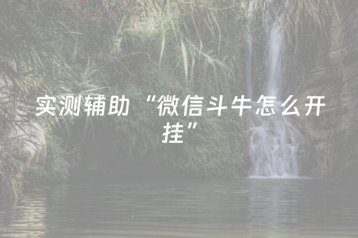 实测辅助“微信斗牛怎么开挂”（详细透视教程）-哔哩哔哩