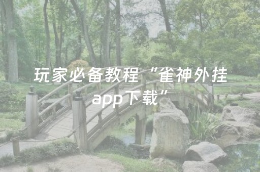 玩家必备教程“雀神外挂app下载”（详细透视教程）-哔哩哔哩