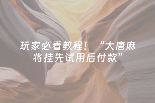 玩家必看教程！“大唐麻将挂先试用后付款”（详细透视教程）-哔哩哔哩