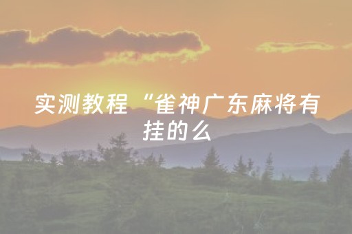 实测教程“雀神广东麻将有挂的么（专用辅牌神器免安装）
