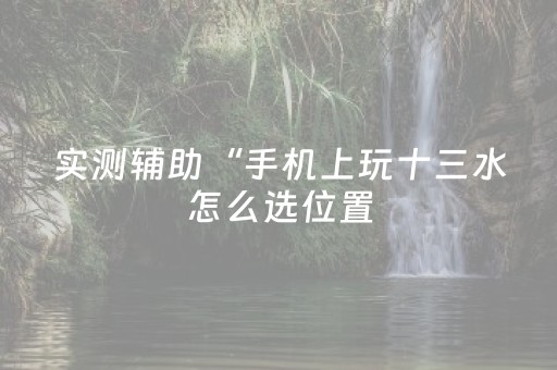 实测辅助“手机上玩十三水怎么选位置（专用辅牌神器免安装）