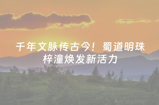 东南亚博主探威海 山海浪漫入镜来