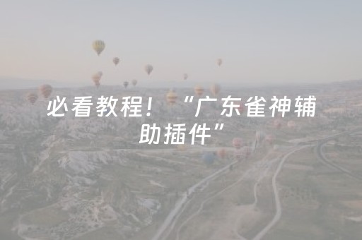必看教程！“广东雀神辅助插件”（详细辅助教程）-哔哩哔哩