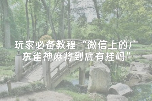 玩家必备教程“微信上的广东雀神麻将到底有挂吗”（详细透视教程）-哔哩哔哩