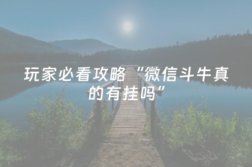 玩家必看攻略“微信斗牛真的有挂吗”（详细透视教程）-哔哩哔哩
