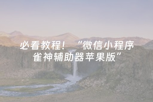 必看教程！“微信小程序雀神辅助器苹果版”（详细透视教程）-哔哩哔哩