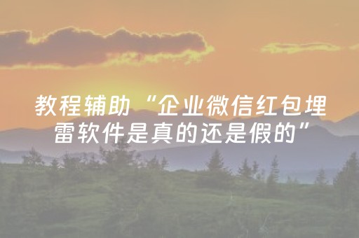 教程辅助“企业微信红包埋雷软件是真的还是假的”（详细透视教程）-哔哩哔哩