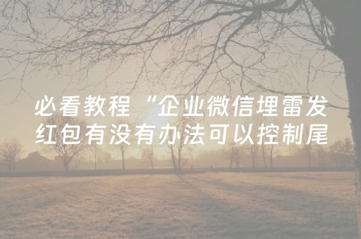 必看教程“企业微信埋雷发红包有没有办法可以控制尾数”（详细透视教程）-哔哩哔哩