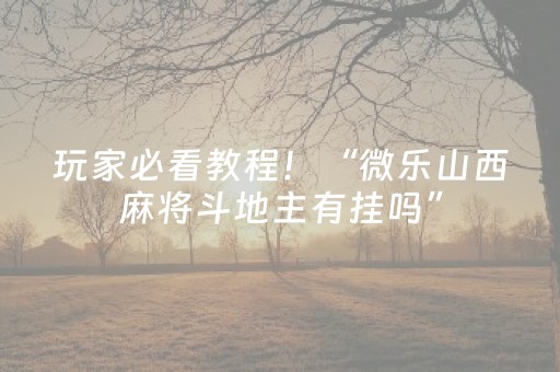 玩家必看教程！“微乐山西麻将斗地主有挂吗”（详细开挂教程）-哔哩哔哩