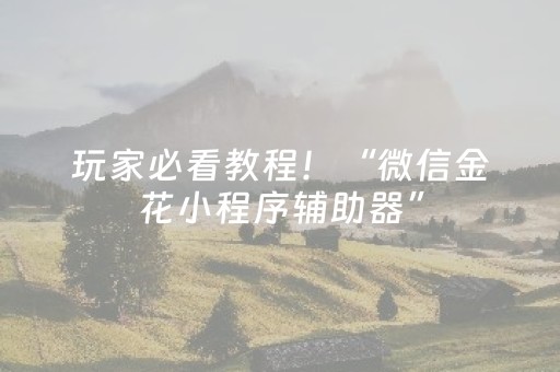 玩家必看教程！“微信金花小程序辅助器”（详细透视教程）-哔哩哔哩