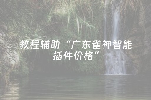 教程辅助“广东雀神智能插件价格”（详细透视教程）-哔哩哔哩