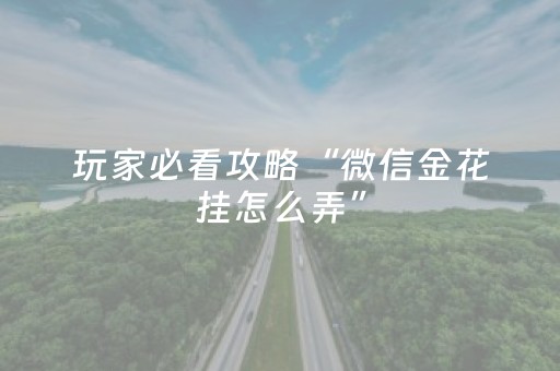 玩家必看攻略“微信金花挂怎么弄”（详细透视教程）-哔哩哔哩
