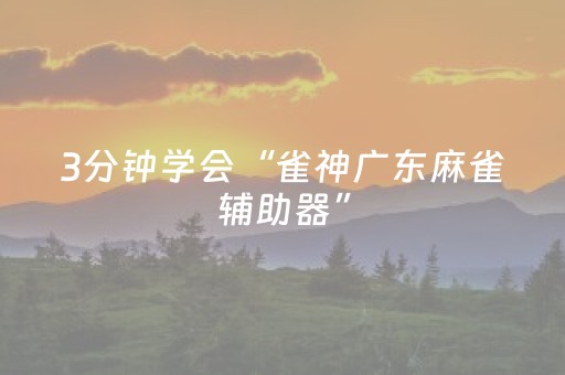 3分钟学会“雀神广东麻雀辅助器”（详细透视教程）-哔哩哔哩