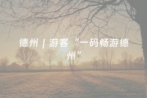 德州｜游客“一码畅游德州”