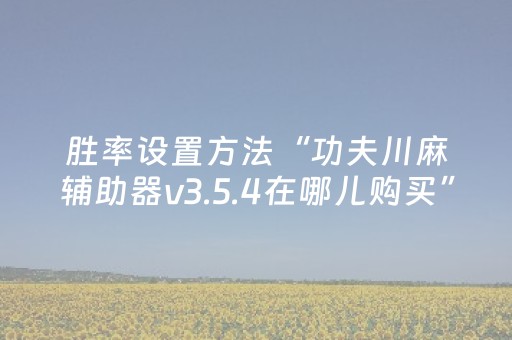 胜率设置方法“功夫川麻辅助器v3.5.4在哪儿购买”（详细透视教程）-哔哩哔哩
