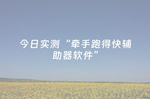 今日实测“牵手跑得快辅助器软件”（详细辅助教程）-哔哩哔哩