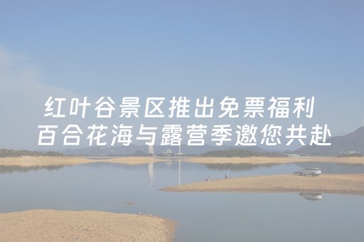 吃海鲜、逛文创市集 威海文登新增一处街区式休闲空间