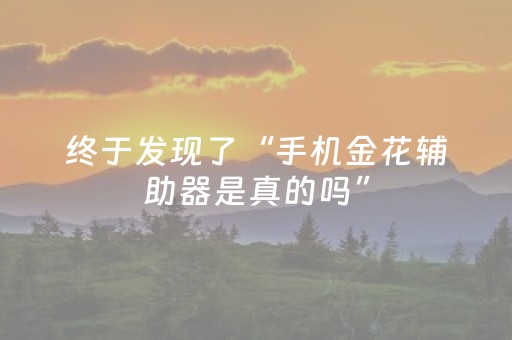 终于发现了“手机金花辅助器是真的吗”（详细透视教程）-哔哩哔哩