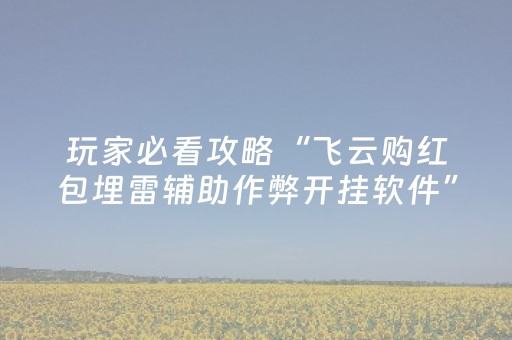玩家必看攻略“飞云购红包埋雷辅助作弊开挂软件”（详细透视教程）-哔哩哔哩