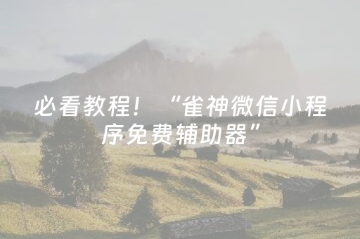 必看教程！“雀神微信小程序免费辅助器”（详细透视教程）-哔哩哔哩