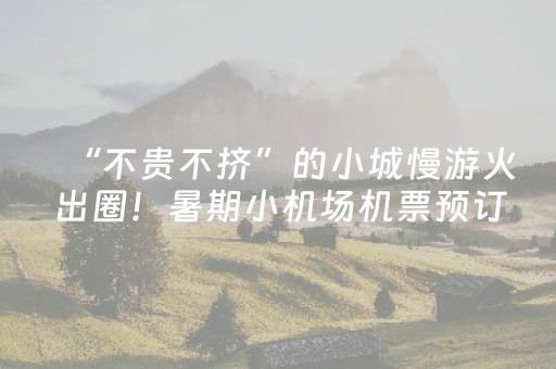 “不贵不挤”的小城慢游火出圈！暑期小机场机票预订量涨幅明显