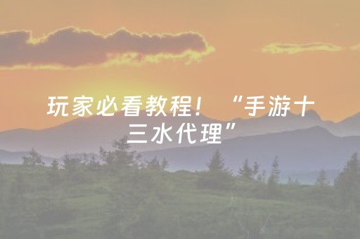 玩家必看教程！“手游十三水代理”（详细辅助教程）-哔哩哔哩