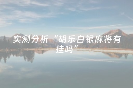 实测分析“胡乐白银麻将有挂吗”（详细透视教程）-哔哩哔哩