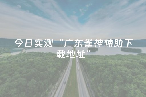 今日实测“广东雀神辅助下载地址”（详细开挂教程）-哔哩哔哩