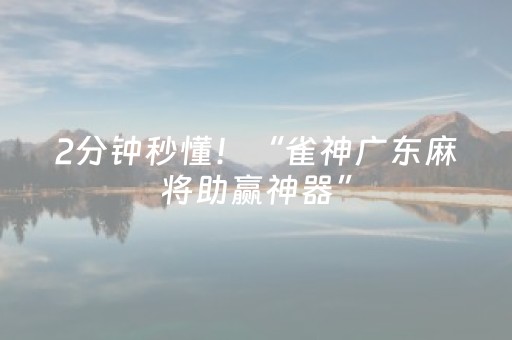 2分钟秒懂！“雀神广东麻将助赢神器”（详细透视教程）-哔哩哔哩