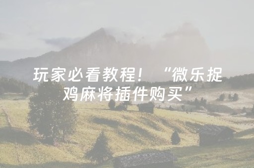 玩家必看教程！“微乐捉鸡麻将插件购买”（详细辅助教程）-哔哩哔哩