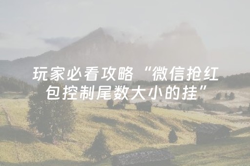 玩家必看攻略“微信抢红包控制尾数大小的挂”（详细透视教程）-哔哩哔哩