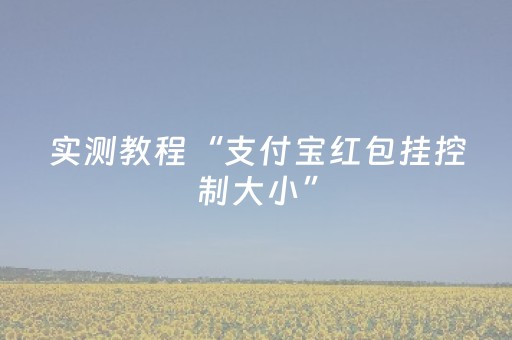 实测教程“支付宝红包挂控制大小”（详细透视教程）-哔哩哔哩