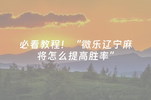 必看教程！“微乐辽宁麻将怎么提高胜率”（详细开挂教程）-哔哩哔哩