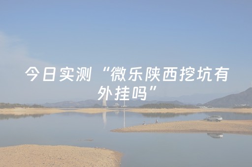 今日实测“微乐陕西挖坑有外挂吗”（详细辅助教程）-哔哩哔哩