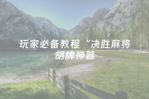 玩家必备教程“决胜麻将胡牌神器（助赢神器通用版）