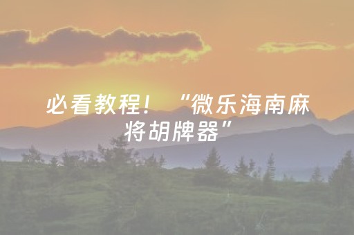 必看教程！“微乐海南麻将胡牌器”（详细透视教程）-哔哩哔哩