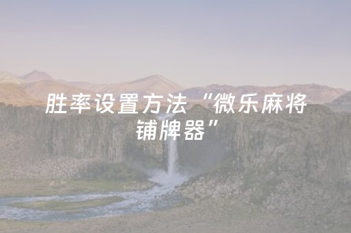 胜率设置方法“微乐麻将铺牌器”（详细透视教程）-哔哩哔哩