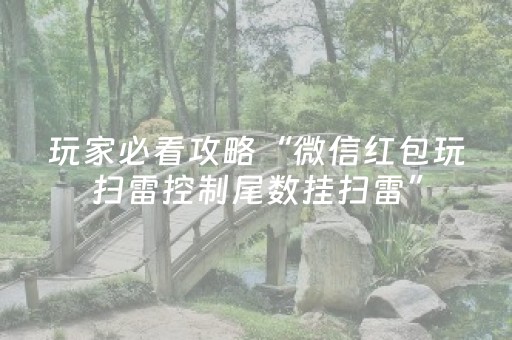 玩家必看攻略“微信红包玩扫雷控制尾数挂扫雷”（详细透视教程）-哔哩哔哩