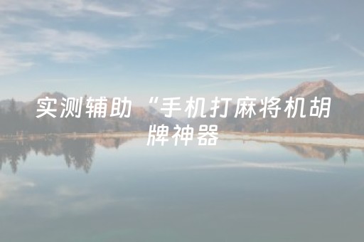 实测辅助“手机打麻将机胡牌神器（助赢神器通用版）