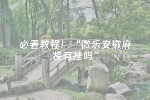 必看教程！“微乐安徽麻将有挂吗”（详细辅助教程）-哔哩哔哩