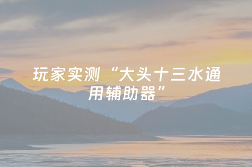 玩家实测“大头十三水通用辅助器”（详细透视教程）-哔哩哔哩