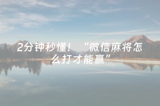 2分钟秒懂！“微信麻将怎么打才能赢”（详细辅助教程）-哔哩哔哩