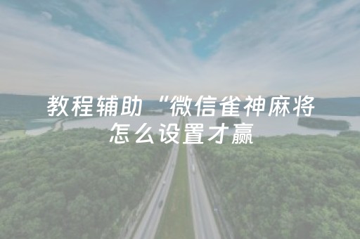 教程辅助“微信雀神麻将怎么设置才赢（助赢神器通用版）