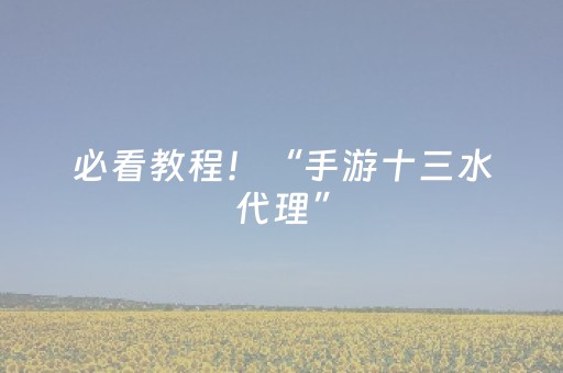 必看教程！“手游十三水代理”（详细辅助教程）-哔哩哔哩