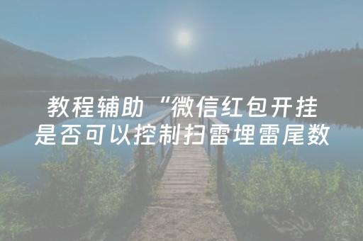 教程辅助“微信红包开挂是否可以控制扫雷埋雷尾数”（详细透视教程）-哔哩哔哩