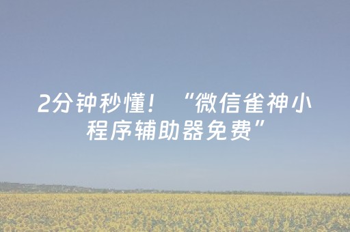 2分钟秒懂！“微信雀神小程序辅助器免费”（详细开挂教程）-哔哩哔哩