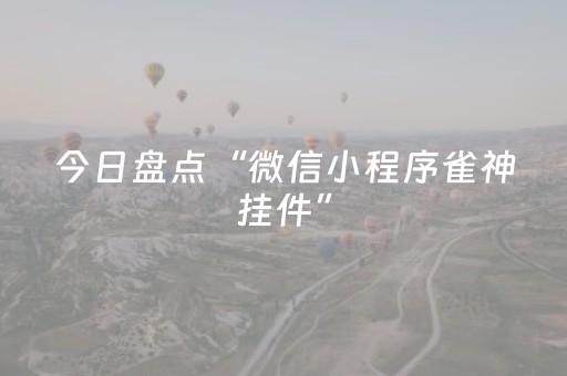 今日盘点“微信小程序雀神挂件”（详细辅助教程）-哔哩哔哩