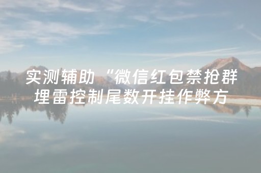实测辅助“微信红包禁抢群埋雷控制尾数开挂作弊方法”（详细透视教程）-哔哩哔哩