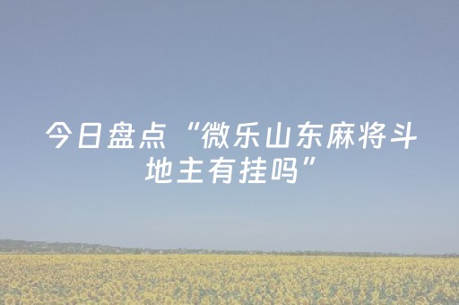 今日盘点“微乐山东麻将斗地主有挂吗”（详细透视教程）-哔哩哔哩