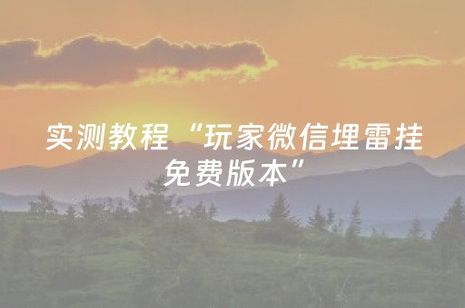 实测教程“玩家微信埋雷挂免费版本”（详细透视教程）-哔哩哔哩
